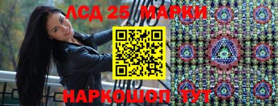 дмт Сланцы