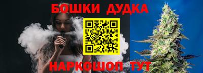 дмт Сланцы