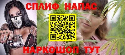 соль ск Славгород