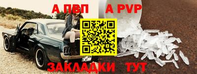 крисы Кузнецк