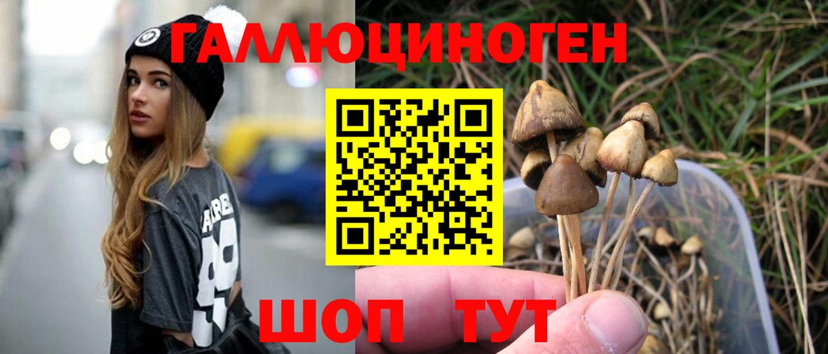 Галлюциногенные грибы MAGIC MUSHROOMS  Вход с VPN  Нижневартовск  Псилоцибиновые грибы Cubensis 